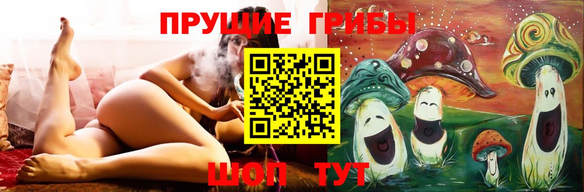 Псилоцибиновые грибы мицелий Каменка